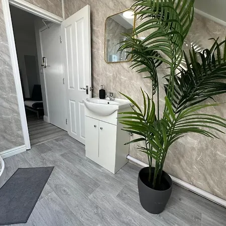 Dvm Escape Flat 3 *