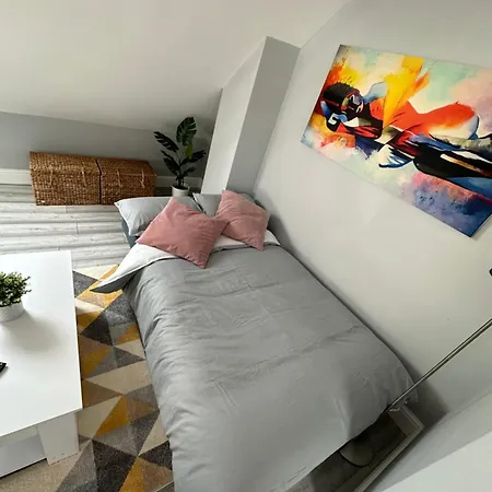 Dvm Escape Flat 3 Bristol