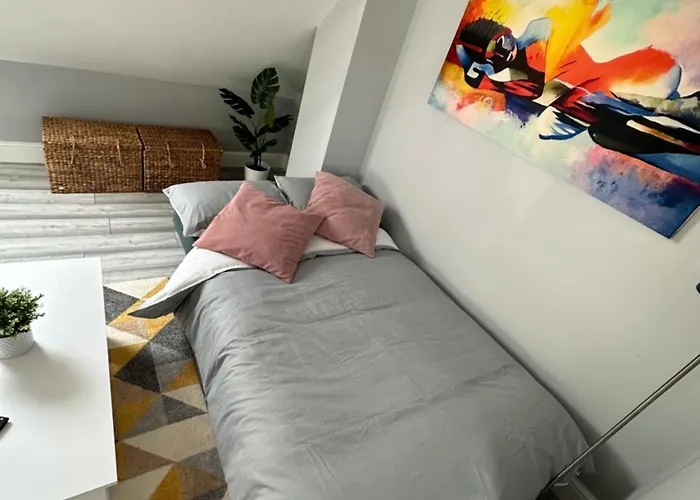 Dvm Escape Flat 3 Bristol